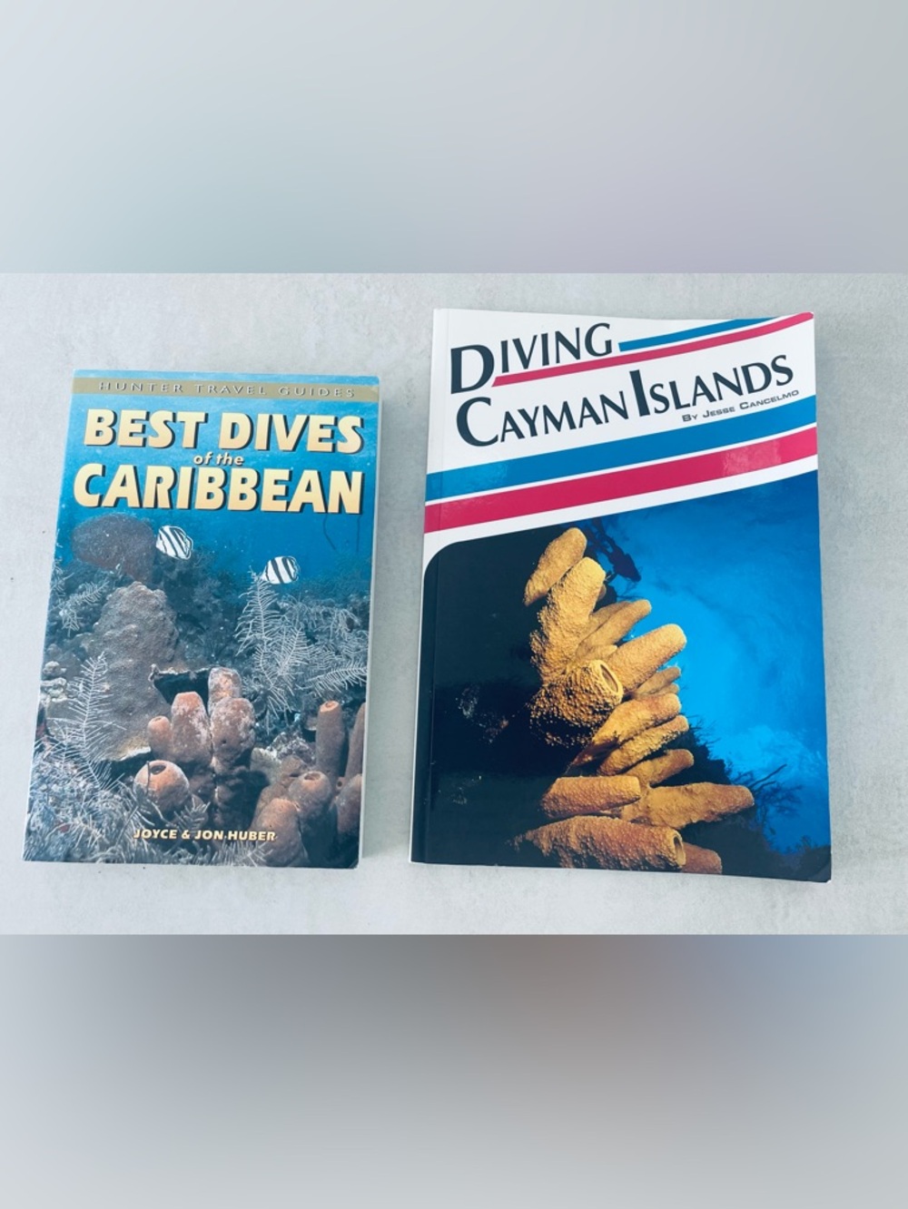 2 books @ Best Dives of the Caribbean
